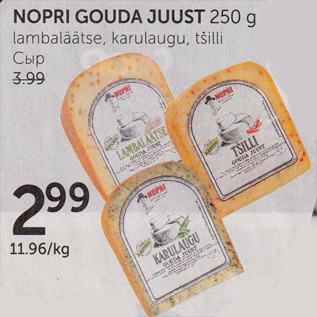 Allahindlus - NOPPI GOUDA JUUST 250 G