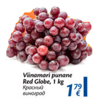 Allahindlus - Viinamari punane Red Globe, 1 kg