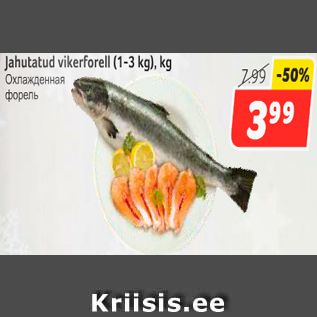 Allahindlus - Jahutatud vikerforell (1-3kg)