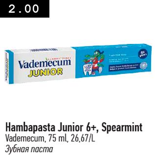 Allahindlus - Hambapasta Junior 6+, Spearmint