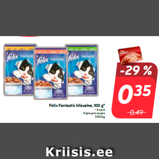 Allahindlus - Felix Fantastic kiisueine, 100 g* • 4 sorti