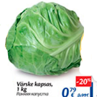 Allahindlus - Värske kapsas, 1 kg