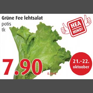 Allahindlus - Grüne Fee lehtsalat potis