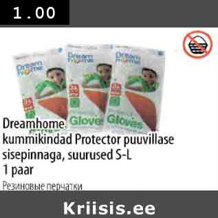 Allahindlus - Dreamhome kummikindad Protector puuvillase sisepinnaga, suurused 5-L 1 paar