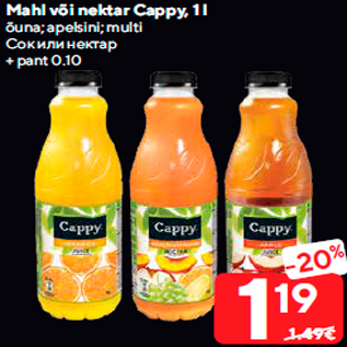 Allahindlus - Mahl või nektar Cappy, 1 l