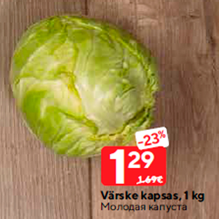 Allahindlus - Värske kapsas, 1 kg