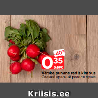 Allahindlus - Värske punane redis kimbus