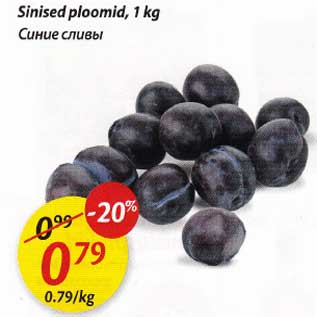 Allahindlus - Sinised ploomid, 1 kg