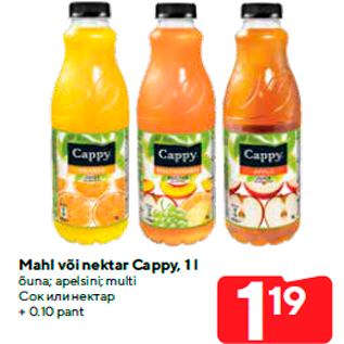 Allahindlus - Mahl või nektar Cappy, 1 l