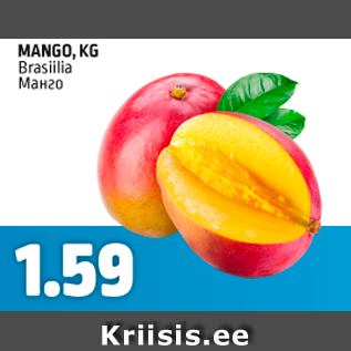 Allahindlus - MANGO, KG