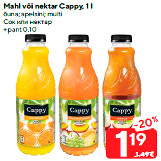 Allahindlus - Mahl või nektar Cappy, 1 l