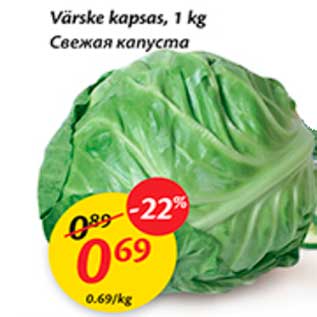 Allahindlus - Värske kapsas, 1 kg