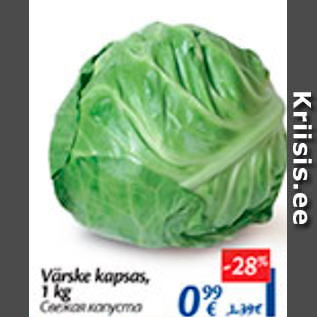 Allahindlus - Värske kapsas 1 kg