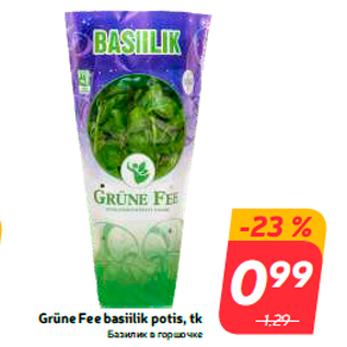 Allahindlus - Grüne Fee basiilik potis, tk