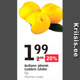 Allahindlus - Kollane ploom Golden Globe kg