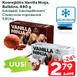 Allahindlus - Koorejäätis Vanilla Ninja, Balbiino, 480 g