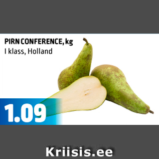 Allahindlus - PIRN CONFERENCE, kg