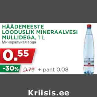 Allahindlus - HÄÄDEMEESTE LOODUSLIK MINERAALVESI MULLIDEGA, 1 L