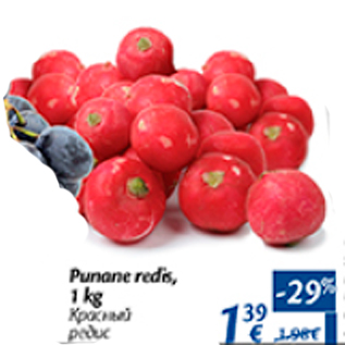 Allahindlus - Punane redis, 1 kg