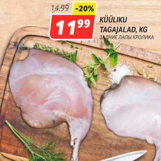 Allahindlus - KÜÜLIKU TAGAJALAD, KG