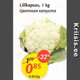 Allahindlus - Lillkapsas, 1 kg