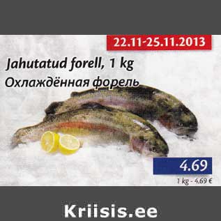 Allahindlus - Jahutatud forel, 1 kg