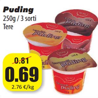 Allahindlus - Puding 250g / 3 sorti Tere