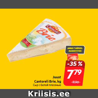 Allahindlus - Juust Cantoreli Brie, kg