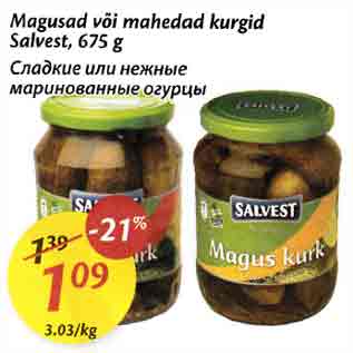 Allahindlus - Magusad või mahedad kurgid Salvest,675 g