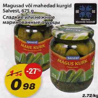 Allahindlus - Magusad või mahedad kurgid Salvest, 675g