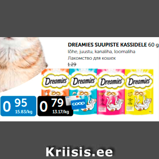 Allahindlus - DREAMIES SUUPISTE KASSIDELE 60 G