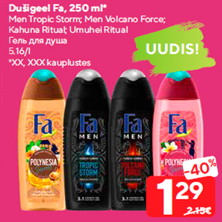 Allahindlus - Dušigeel Fa, 250 ml*