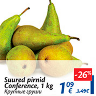 Allahindlus - Suured pirnid Conference, 1 kg