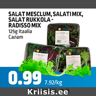 Allahindlus - SALAT MESCLUM, SALATI MIX, SALAT RUKKOLA-RADISSO MIX