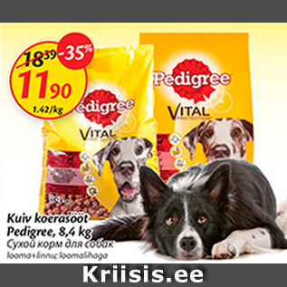 Allahindlus - Kuiv koerasööt Pedigree, 8,4 kg