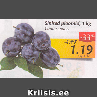 Allahindlus - Sinised ploomid, 1 kg