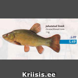 Allahindlus - Jahutatud linask, 1 kg