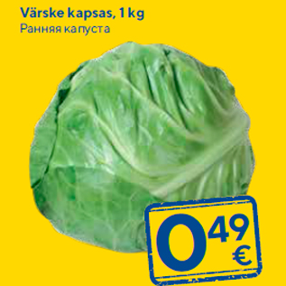 Allahindlus - Värske kapsas, 1 kg