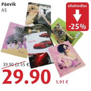 Allahindlus - Päevik