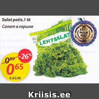 Allahindlus - Salat potis, 1 tk