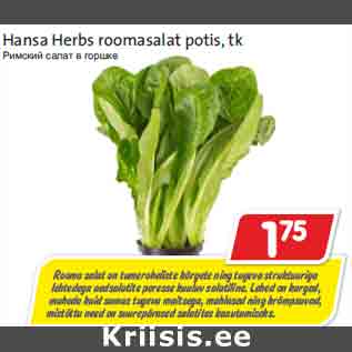 Allahindlus - Hansa Herbs roomasalat potis, tk