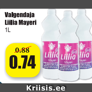 Allahindlus - Valgendaja Liilia Mayeri 1 L