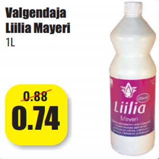 Allahindlus - Valgendaja Liilia Mayeri 1L