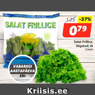 Allahindlus - Salat Frillice, lõigatud, tk