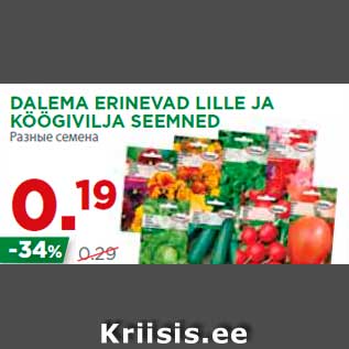 Allahindlus - DALEMA ERINEVAD LILLE JA KÖÖGIVILJA SEEMNED