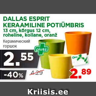 Allahindlus - DALLAS ESPRIT KERAAMILINE POTIÜMBRIS