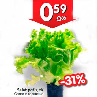 Allahindlus - Salat potis, tk