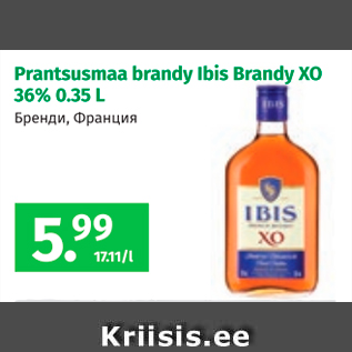 Allahindlus - Prantsusmaa brandy Ibis Brandy XO