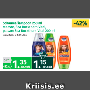 Allahindlus - Schauma šampoon 250 ml