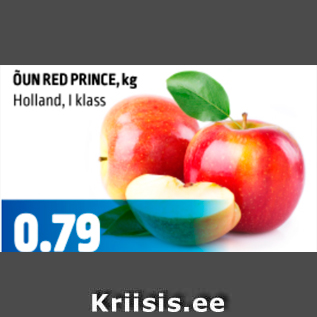 Allahindlus - ÕUN RED PRINCE